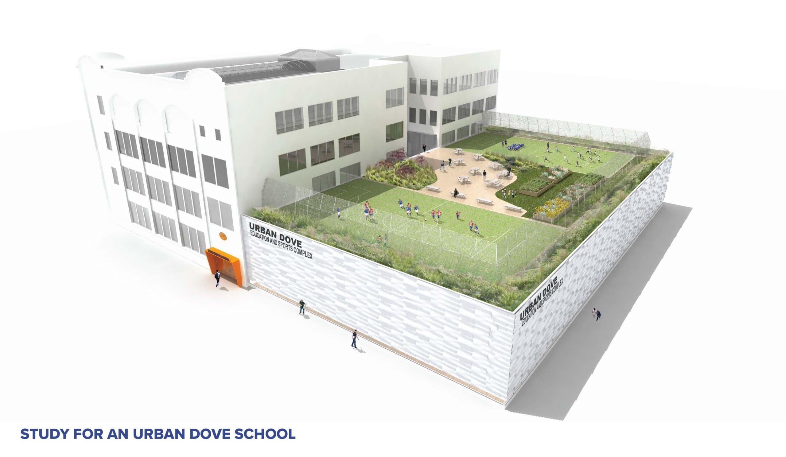 Study for an Urban Dove School_Marble Fairbanks Architects